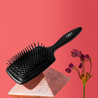 The Paddle Brush