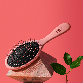 Brushes & Accessories